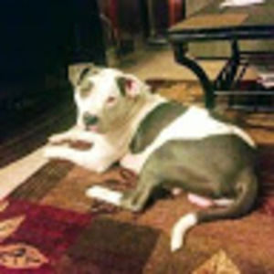 Meet your Posher, Desiree